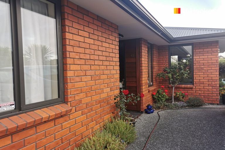 Photo of property in 42a Tedder Street, Saint Kilda, Dunedin, 9012