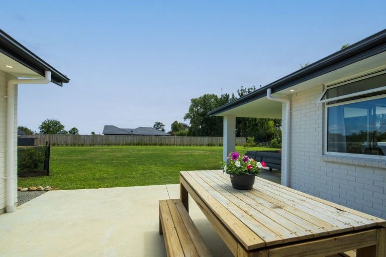 Photo of property in 7 Fairview Place, Levin, 5510