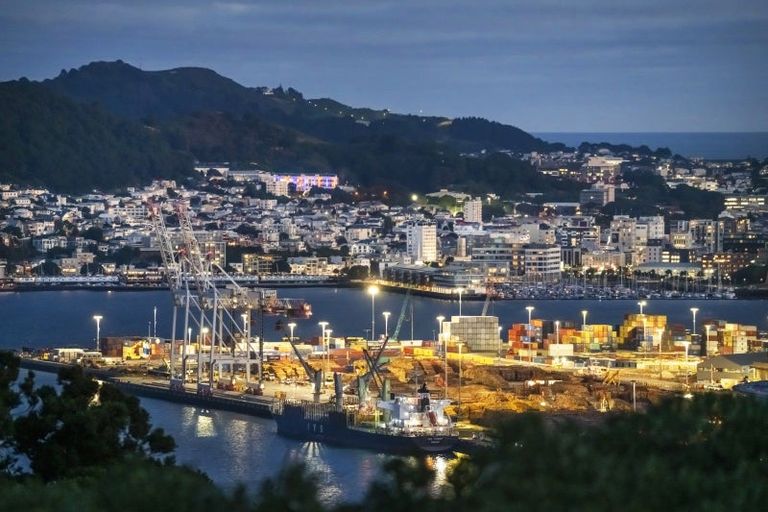 Photo of property in 14 Tensing Place, Khandallah, Wellington, 6035