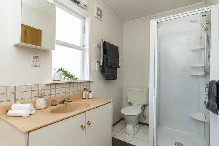 Photo of property in 22a Puriri Street, Miramar, Wellington, 6022