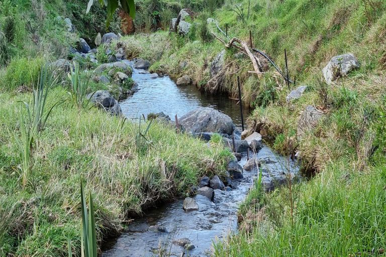 Photo of property in 244 Lindemann Road, Tahawai, Katikati, 3170