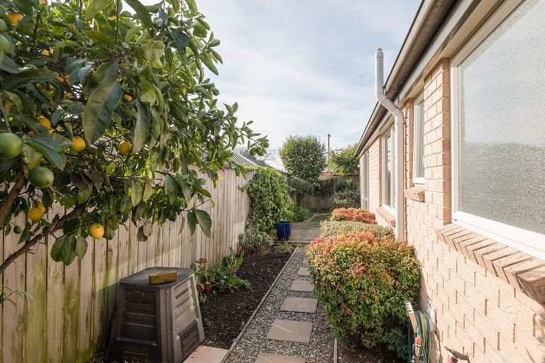 Photo of property in 97a Salisbury Road, Richmond, 7020