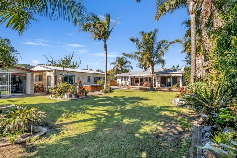 Photo of property in 6 Haig Street, Whakatane, 3120
