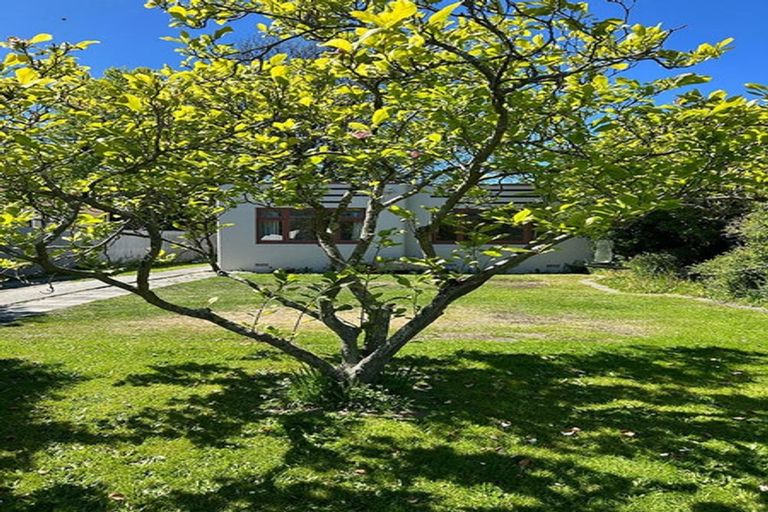 Photo of property in 44 Trent Street, Linwood, Christchurch, 8011