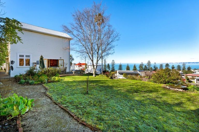 Photo of property in 16 Brewster Street, Bluff Hill, Napier, 4110