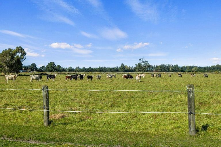 Photo of property in 221 Smiths Road, Leithfield, Amberley, 7481