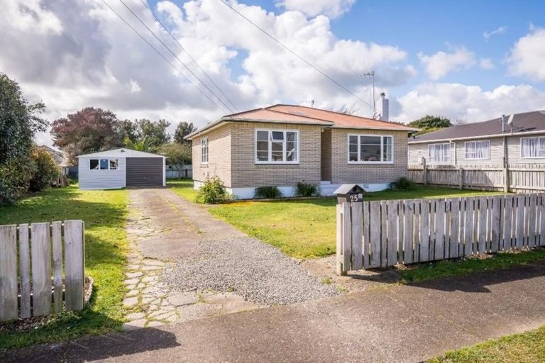Photo of property in 25 Middlesex Street, Levin, 5510