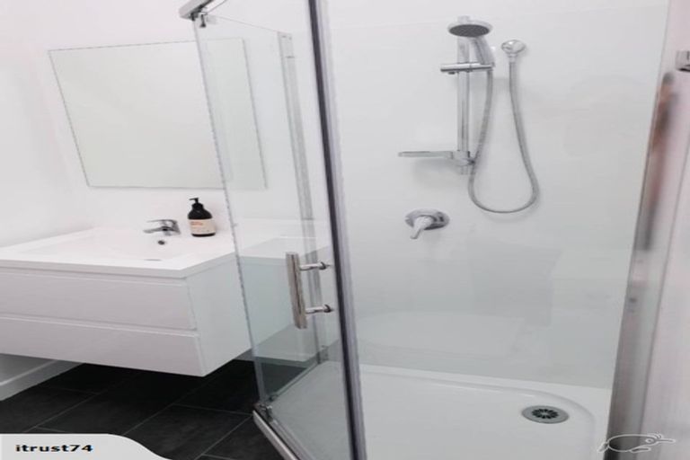 Photo of property in 29 Cook Street, Hamilton East, Hamilton, 3216