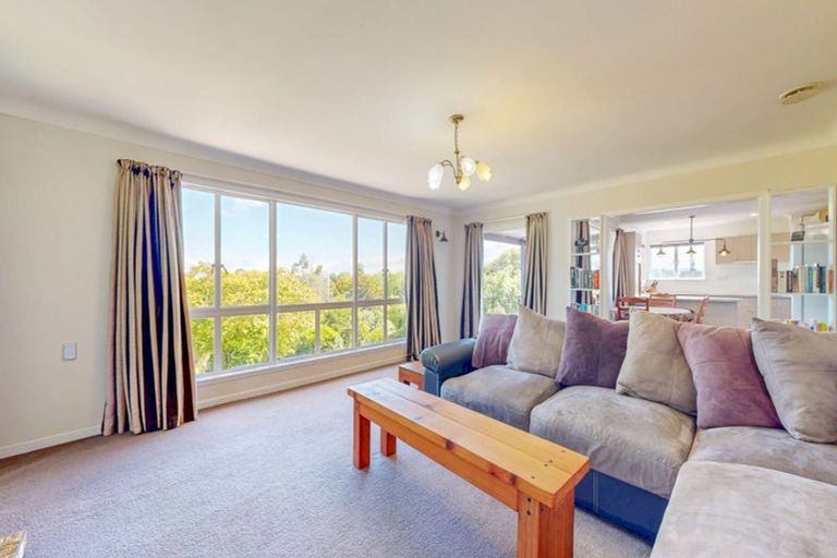 Photo of property in 155 Tirau Street, Putaruru, 3411