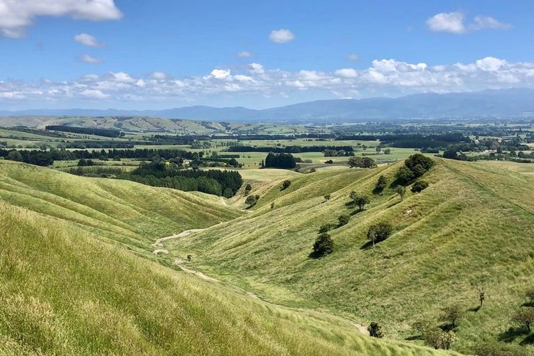 Photo of property in 10 Ranginui Drive, Kaiapoi, 7630