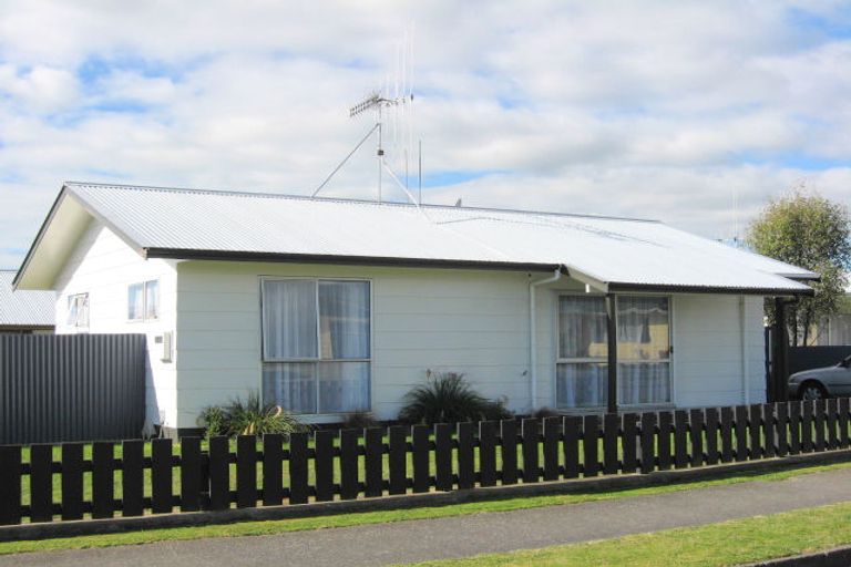 Photo of property in 17 Vogel Street, Levin, 5510