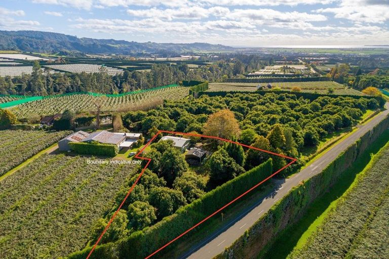 Photo of property in 472 No 3 Road, Te Puke, 3183