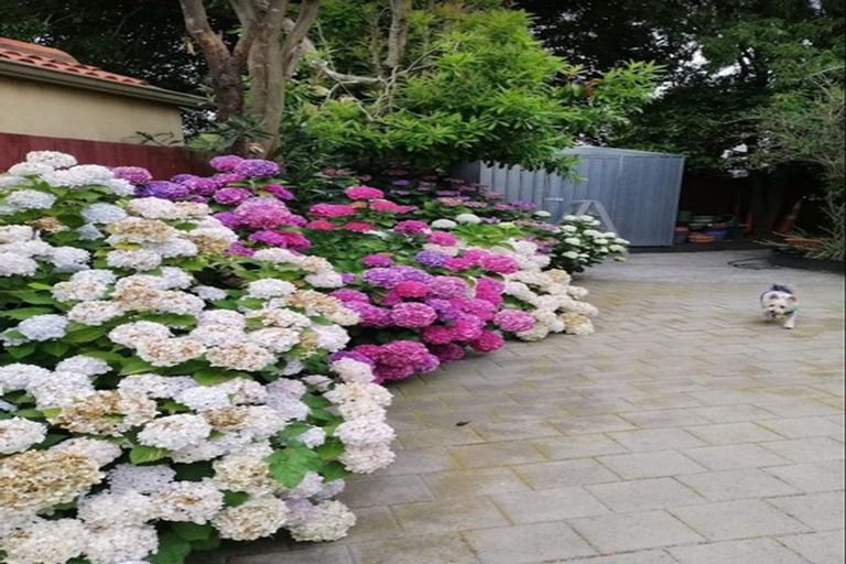 Photo of property in 6/74 Picton Avenue, Riccarton, Christchurch, 8011