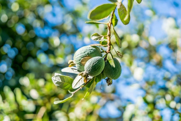 Photo of property in 30 Longfellow Street, Trentham, Upper Hutt, 5018