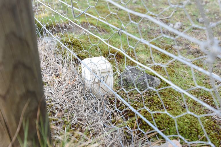 Photo of property in 5 Harris Place, Twizel, 7901