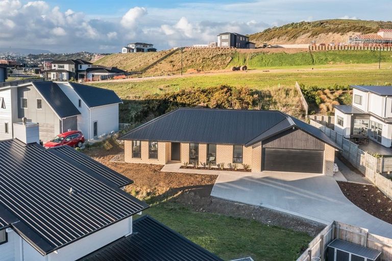 Photo of property in 83 John Burke Drive, Aotea, Porirua, 5024