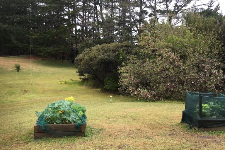 Photo of property in 61 Trig Road, Houhora, Kaitaia, 0484