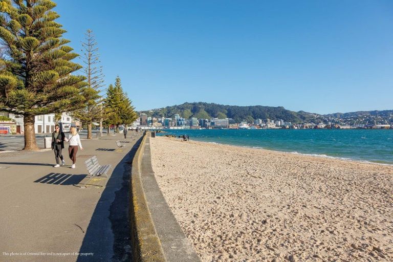 Photo of property in Fountain Court, 13/48 Oriental Parade, Oriental Bay, Wellington, 6011