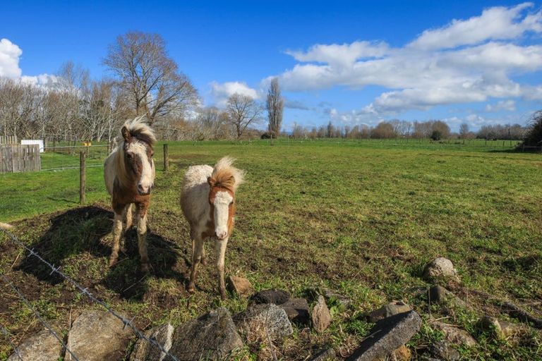 Photo of property in 7362 State Highway 2, Karangahake, Paeroa, 3674