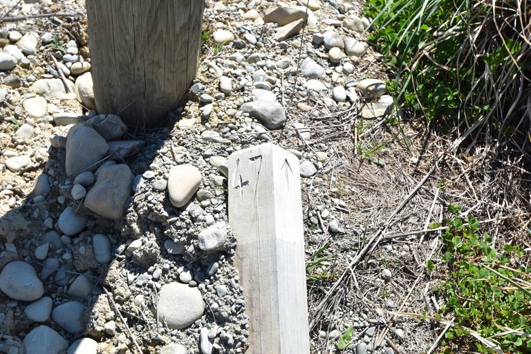 Photo of property in 5 Harris Place, Twizel, 7901