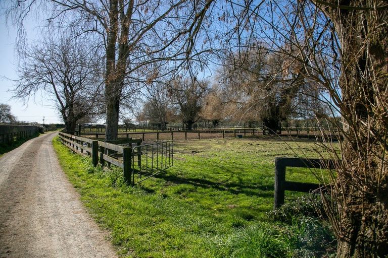 Photo of property in 49 Racecourse Road, Cambridge, 3493