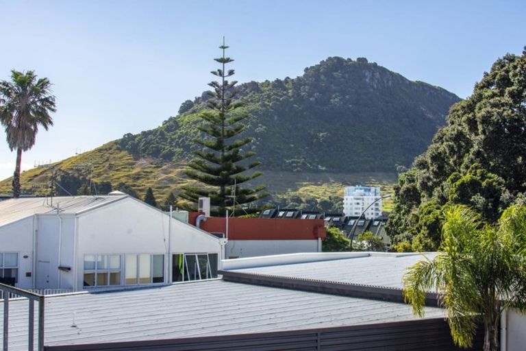 Photo of property in 3 Shadelands Lane, Mount Maunganui, 3116