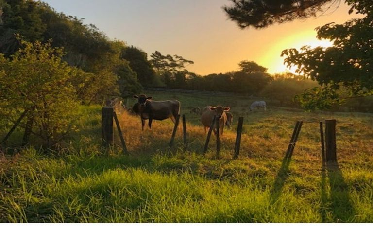 Photo of property in 159 Vaughans Road, Okura, Albany, 0792