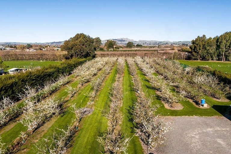 Photo of property in 934 Riverslea Road South, Longlands, Hastings, 4122