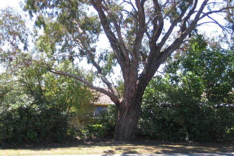 Photo of property in 35 Mayall Avenue, Beach Haven, Auckland, 0626