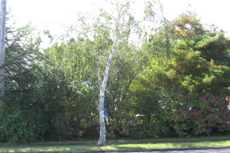 Photo of property in 237 Great North Road, Henderson, Auckland, 0612