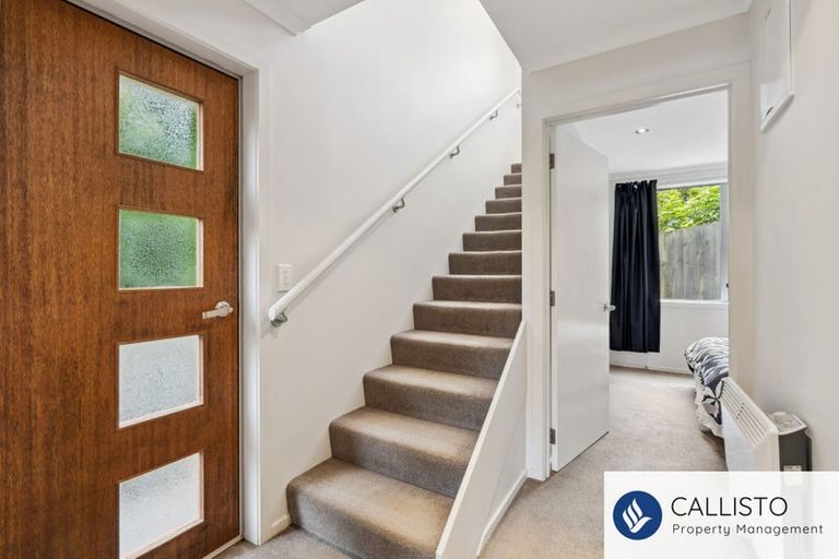 Photo of property in 66a Maclaggan Street, Dunedin Central, Dunedin, 9016