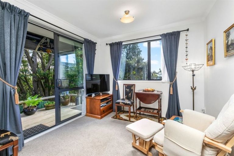 Photo of property in 33 Coopers Road, Gate Pa, Tauranga, 3112