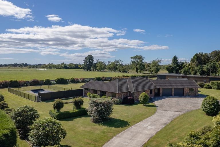 Photo of property in 38 Pohutukawa Drive, Levin, 5571