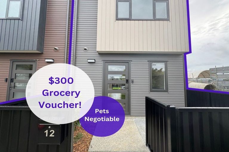 Photo of property in 12 Mara Court, Favona, Auckland, 2024