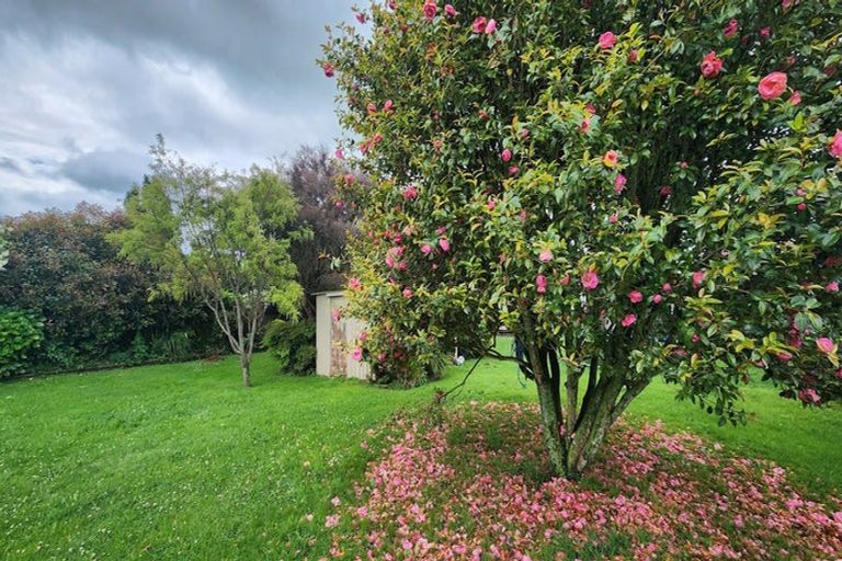 Photo of property in 319 Mangapiko Street, Te Awamutu, 3800