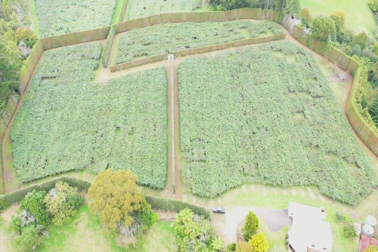 Photo of property in 1395 No 3 Road, Te Puke, 3183