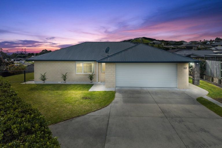 Photo of property in 12 Bryan Gallagher Place, Welcome Bay, Tauranga, 3175