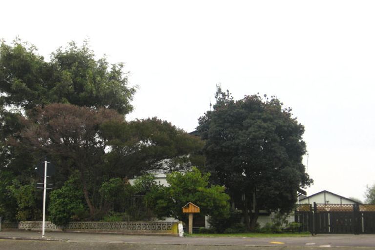 Photo of property in 19 Ellison Street, Napier South, Napier, 4110