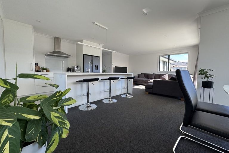 Photo of property in 60 Woodley Road, Richmond, 7020