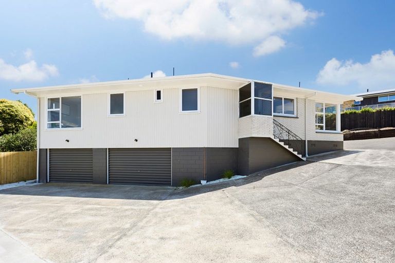 Photo of property in 19 Seifert Street, Forest Lake, Hamilton, 3200
