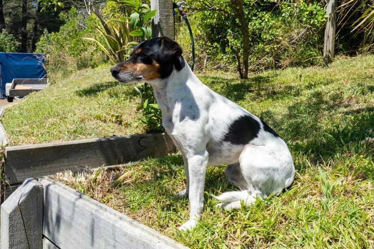 Photo of property in 184-190 Kahukura Avenue, Waitarere Beach, Levin, 5510
