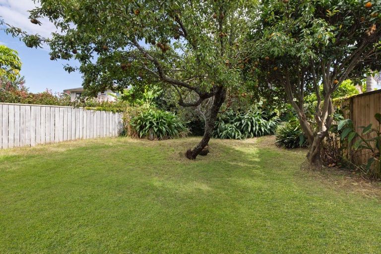 Photo of property in 318 Maungatapu Road, Maungatapu, Tauranga, 3112