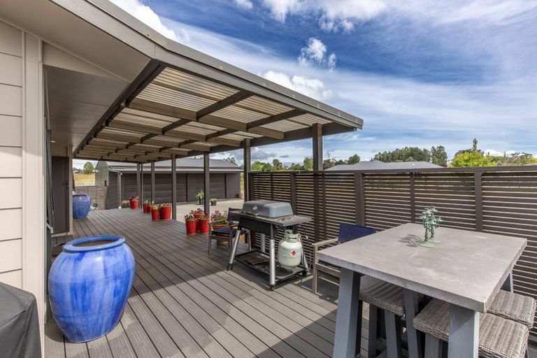 Photo of property in 1 Elm Place, Waipukurau, 4284