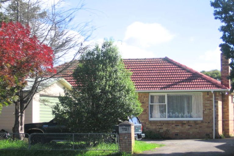 Photo of property in 113 Henderson Valley Road, Henderson, Auckland, 0612