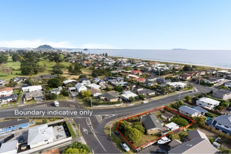 Photo of property in 86 Concord Avenue, Mount Maunganui, 3116