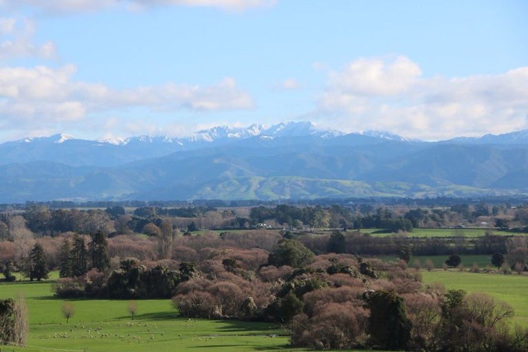 Photo of property in 17 Hill Street, Te Kuiti, 3910