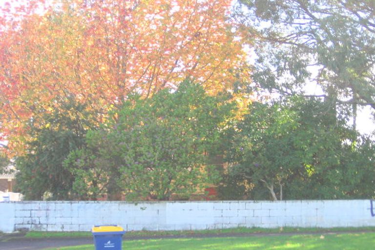 Photo of property in 115 Henderson Valley Road, Henderson, Auckland, 0612