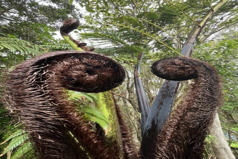 Photo of property in 9 Mariners Way, Whitby, Porirua, 5024