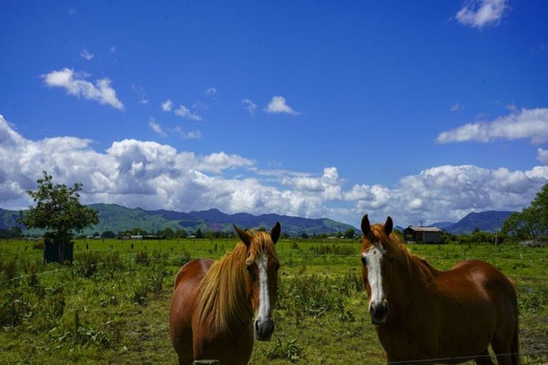 Photo of property in 368 Pukahu Road, Netherton, Paeroa, 3672