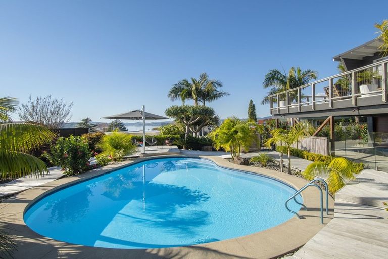 Photo of property in 38 Harvey Street, Tauranga South, Tauranga, 3112
